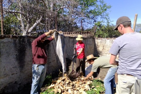 Compost making: Adding a layer of dried leaves