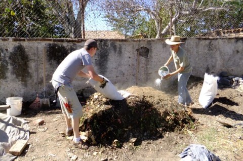 Dried cow manure from a stockyard provides a layer of norogen