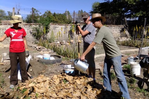 The city turns off the water during the day, so 55-gal barrels are filled for use during the day. Labor-intensive hand watering makes us appreciate when the water is flowing out of a hose.