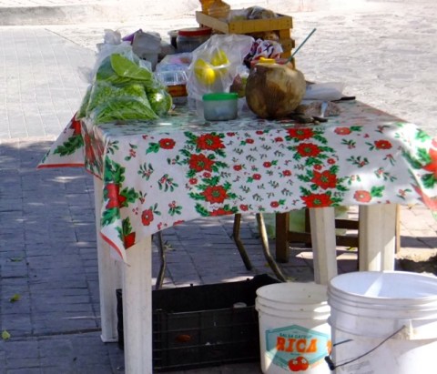 Vendors stand in the plaza. Note the bag of cut nopal at the front edge
