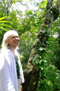 Vanilla growing up a tree