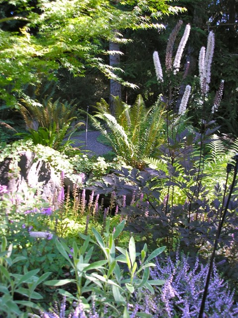 Bog Garden