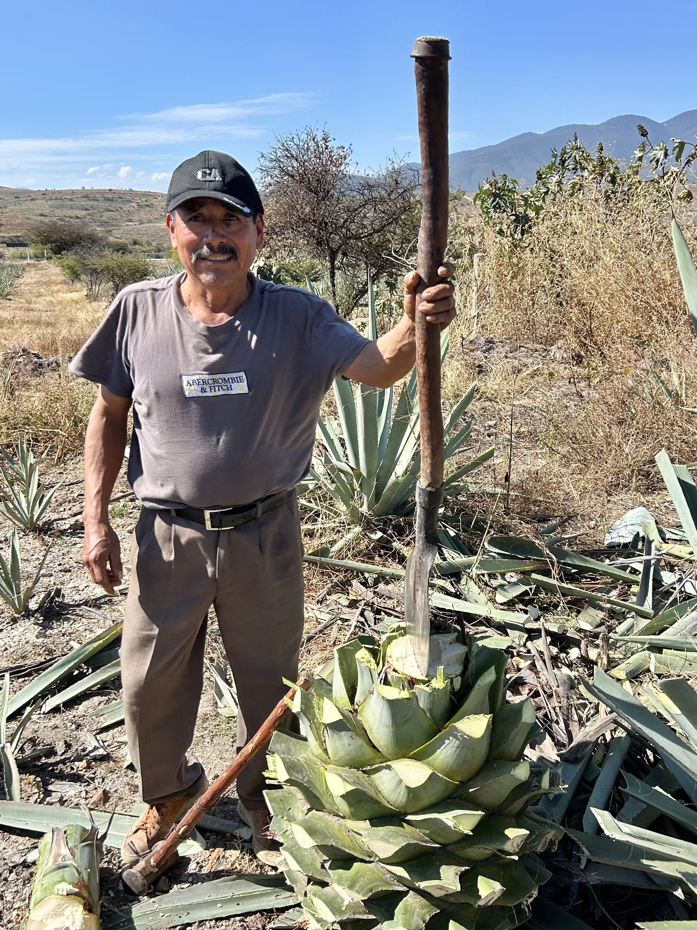 Making Mezcal in Oaxaca – Sustainable Garden Design