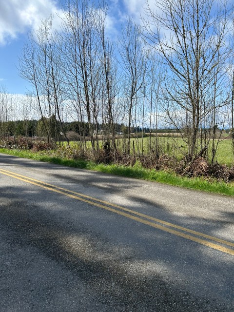 Trees volunteer along fence lines where mowers can't control them.